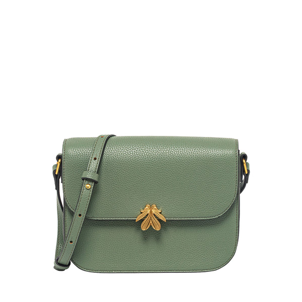 Verde oliva